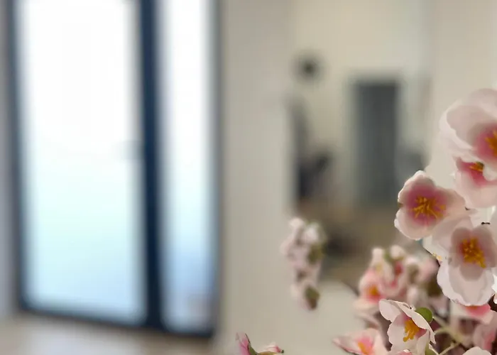 Two Bedroom Apartment N Split